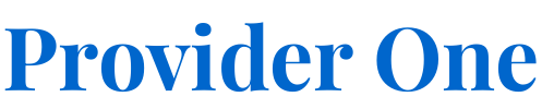 Provider One logo